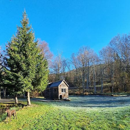 Insolite Tiny House Sérénité Bien Être Ban-sur-Meurthe-Clefcy Exterior foto
