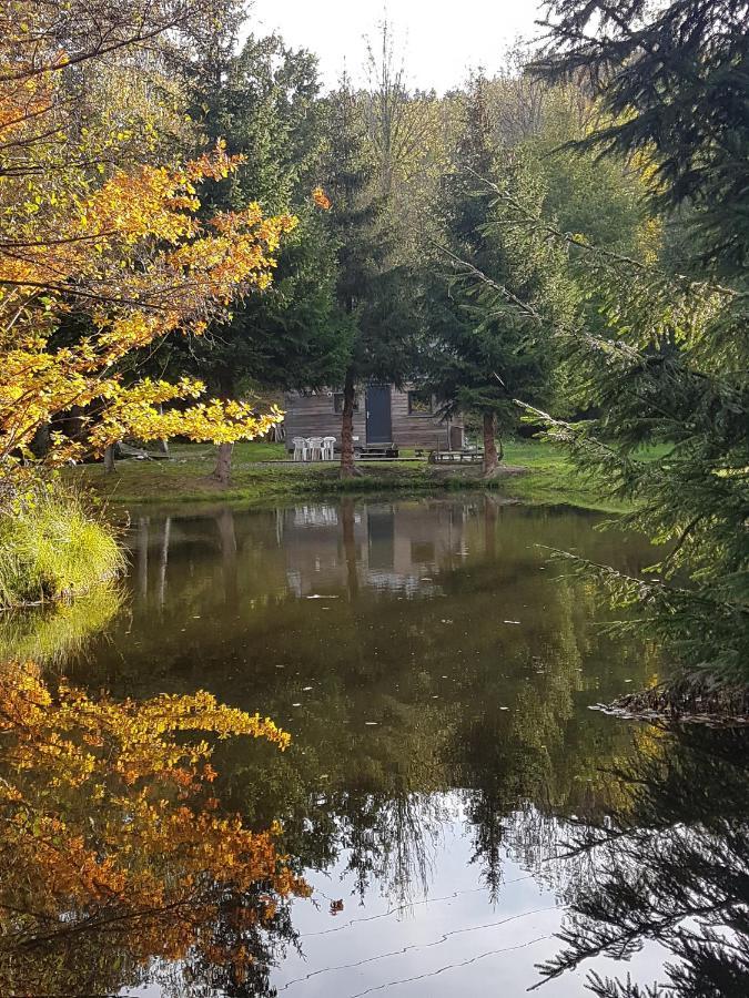 Insolite Tiny House Sérénité Bien Être Ban-sur-Meurthe-Clefcy Exterior foto