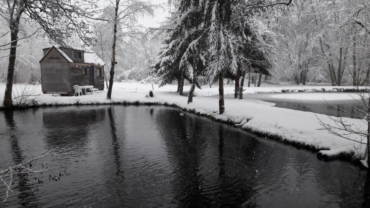 Insolite Tiny House Sérénité Bien Être Ban-sur-Meurthe-Clefcy Exterior foto