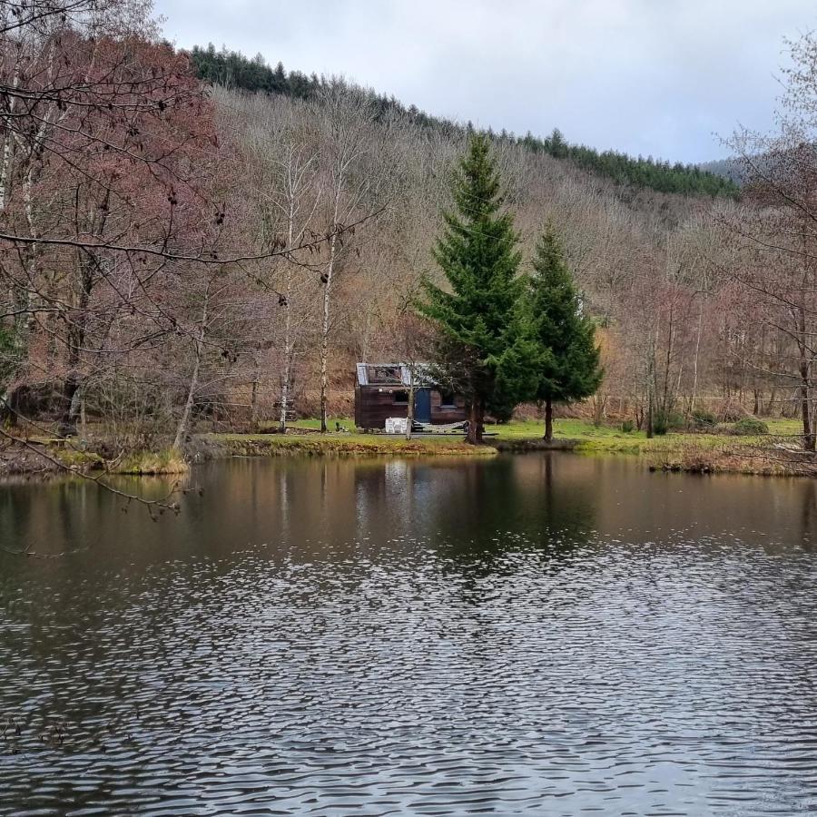 Insolite Tiny House Sérénité Bien Être Ban-sur-Meurthe-Clefcy Exterior foto